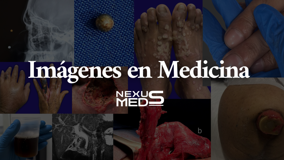 Imágenes en Medicina – Enero 2026